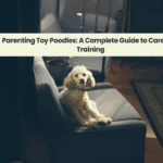 Parenting Toy Poodles: A Complete Guide to Care and Training