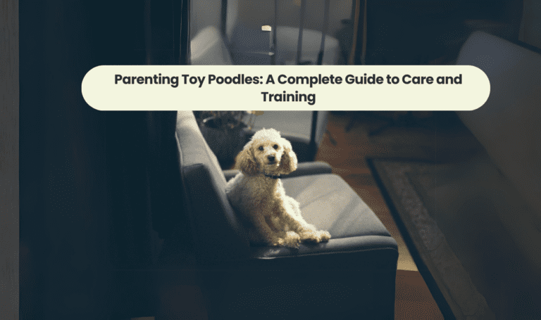 Parenting Toy Poodles: A Complete Guide to Care and Training