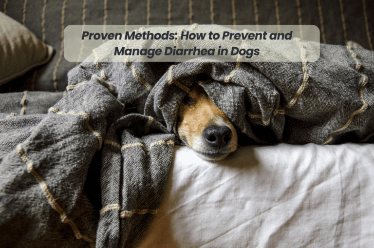 Proven Methods: How to Prevent and Manage Diarrhea in Dogs