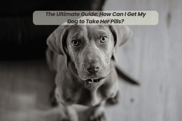 The Ultimate Guide: How Can I Get My Dog to Take Her Pills?