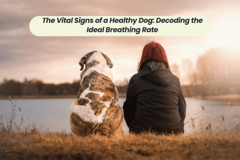 The Vital Signs of a Healthy Dog: Decoding the Ideal Breathing Rate