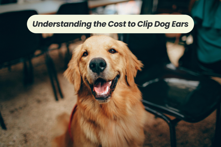 The Price of Pup-Perfect Ears: Understanding the Cost to Clip Dog Ears