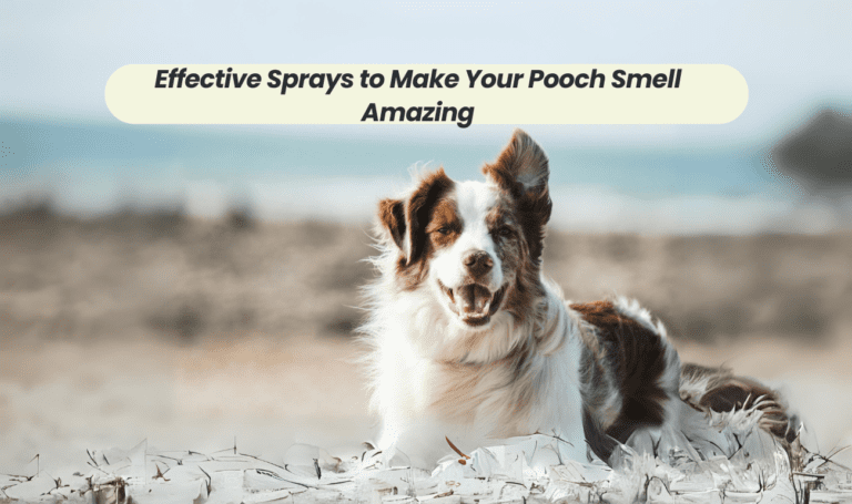 Say Goodbye to Doggy Odor: Effective Sprays to Make Your Pooch Smell Amazing