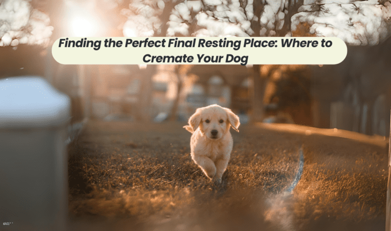 Finding the Perfect Final Resting Place: Where to Cremate Your Dog