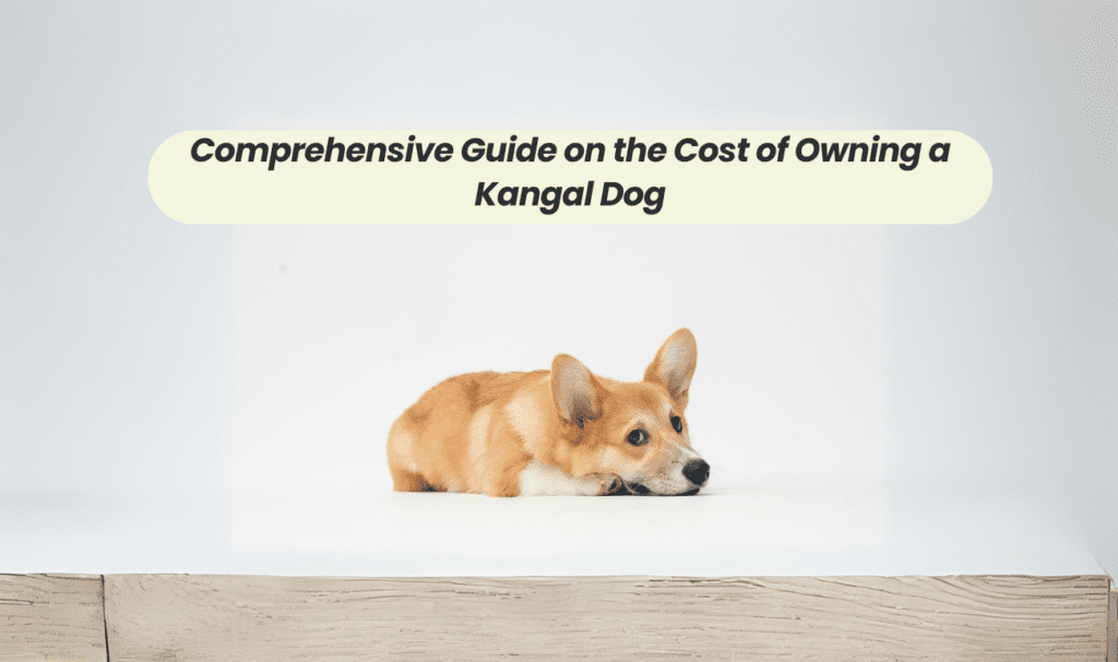 Comprehensive Guide on the Cost of Owning a Kangal Dog