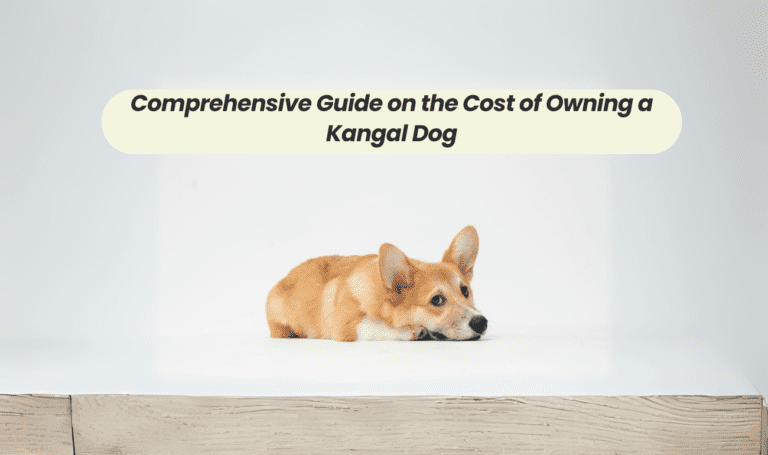 Comprehensive Guide on the Cost of Owning a Kangal Dog