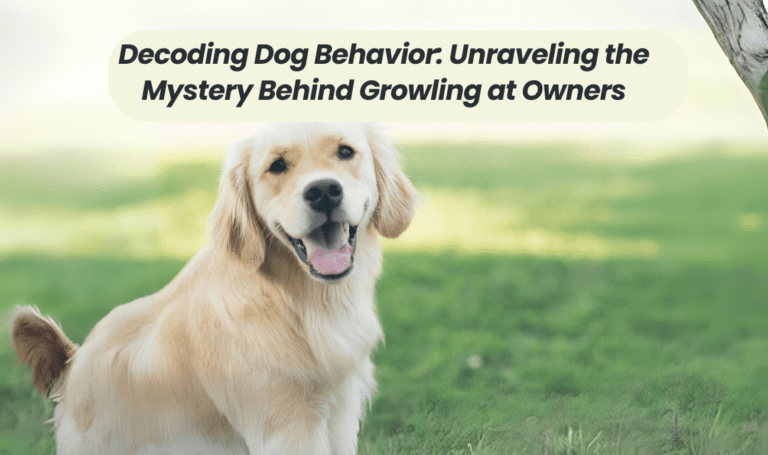 Decoding Dog Behavior: Unraveling the Mystery Behind Growling at Owners