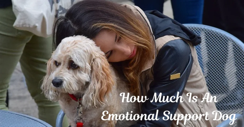 How Much Is An Emotional Support Dog