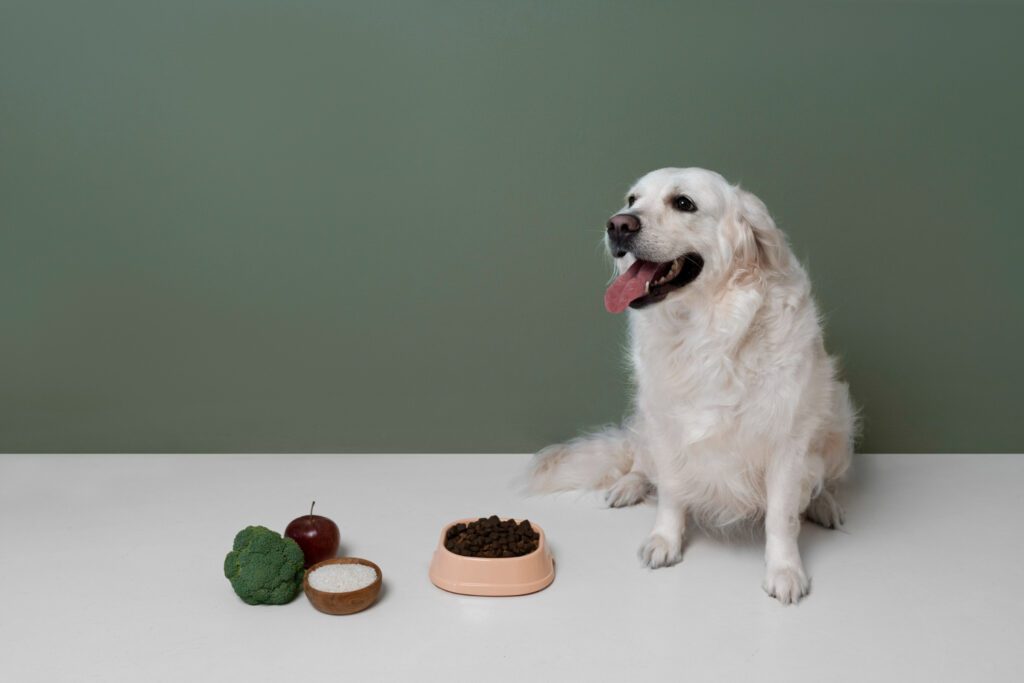 What's on the Menu for Fido: Exploring What Does Dog Eat