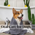 Oral Care for Dogs