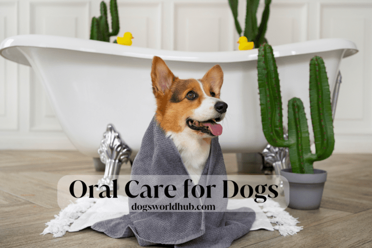 Oral Care for Dogs