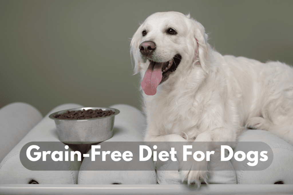 Grain-Free Diet For Dogs