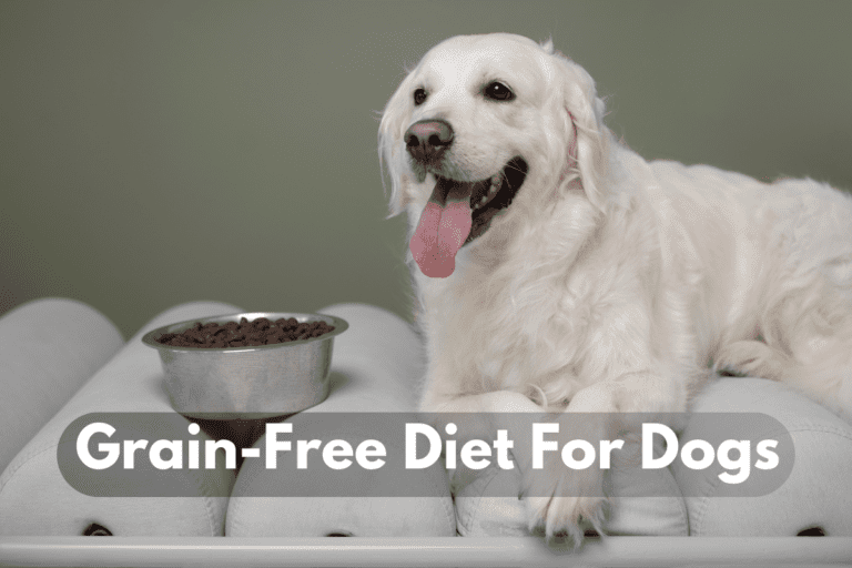 Grain-Free Diet For Dogs